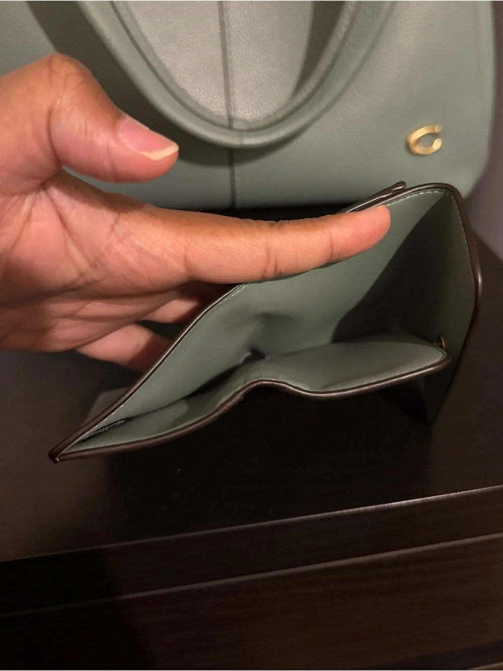 Coach Large Lana Bag in Sage